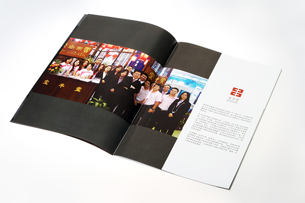 北京vi設計 全套vi設計 vi手冊設計報價