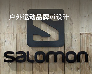 戶外運動品牌vi設計
